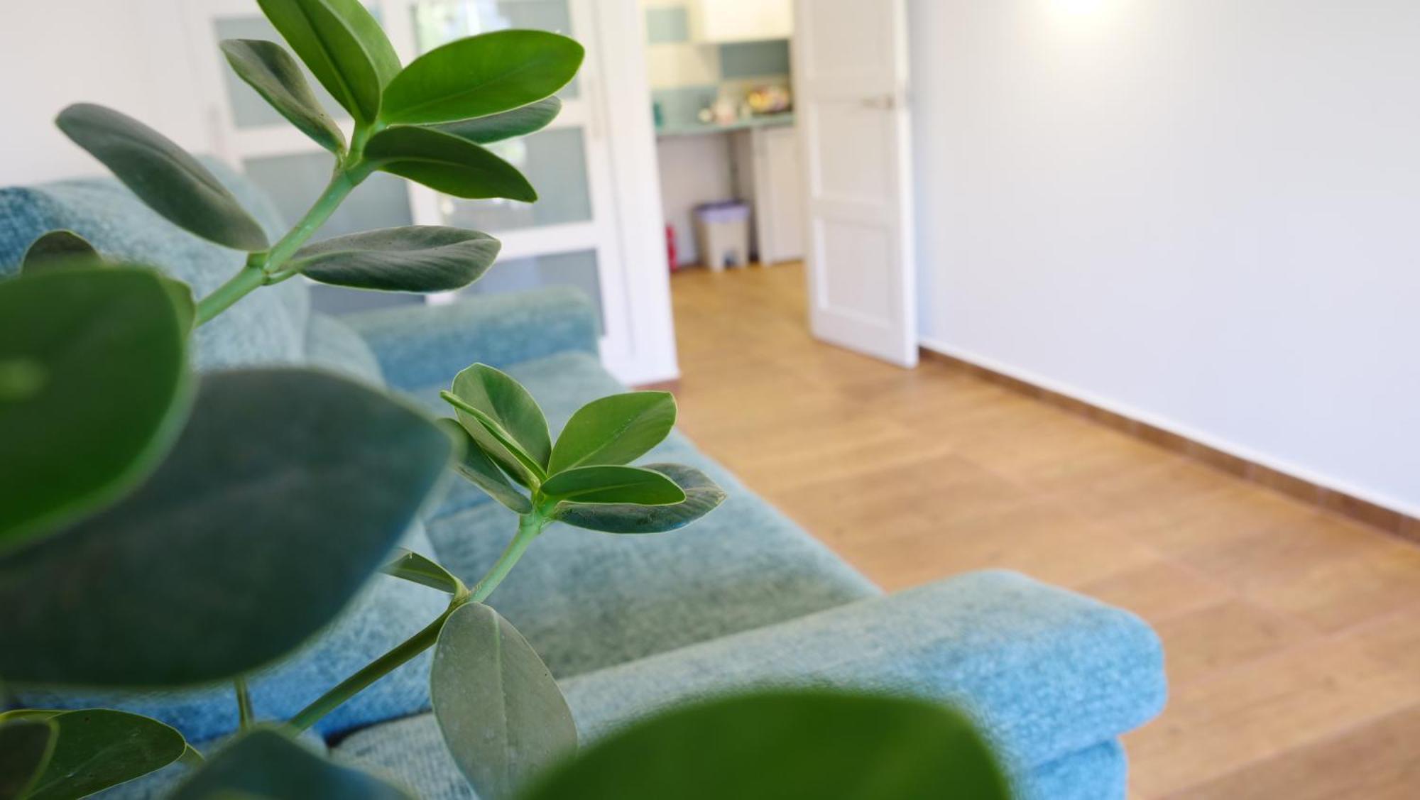 פוארטו דה סנטיאגו Tuerkiz Kanaan Apartman מראה חיצוני תמונה